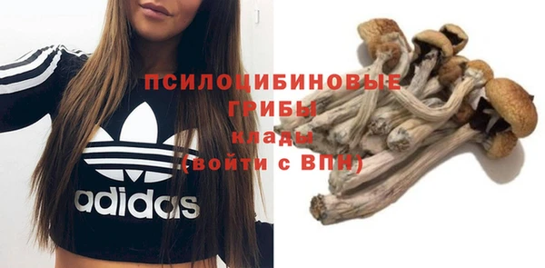 винт Богородск