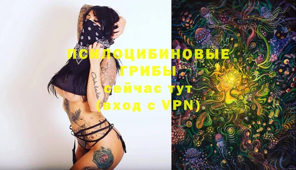 кокаин Богородицк