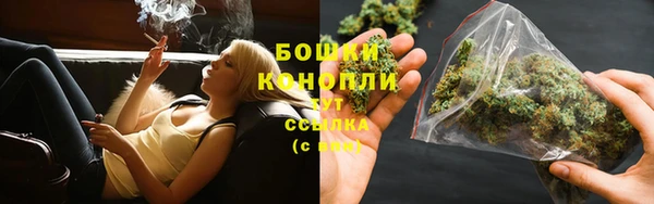 прущая мука Богданович