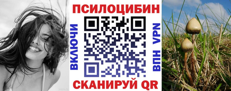 Галлюциногенные грибы Psilocybine cubensis  Купить закладки  Бузулук 